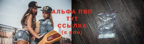 хмурый Вяземский