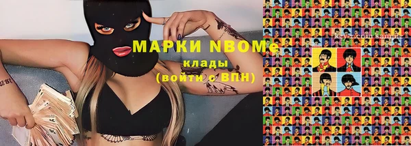 хмурый Вяземский
