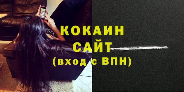 хмурый Вяземский