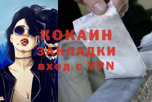 хмурый Вяземский