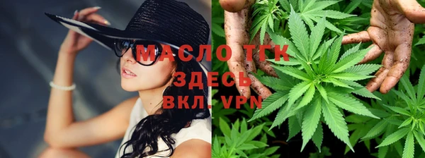 хмурый Вяземский